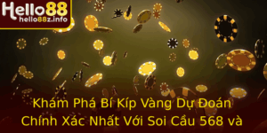 Kham Pha Bi Kip Vang Du Oan Chinh Xac Nhat Voi Soi Cau 568 Va Hello88